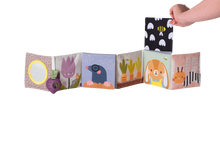 Load image into Gallery viewer, Taf Toys Urban Garden Pram Book