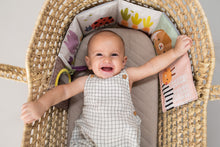 Load image into Gallery viewer, Taf Toys Urban Garden Pram Book