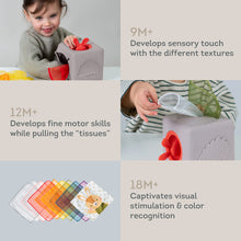 Load image into Gallery viewer, Taf Toys Pop up Tissue Box 12M+