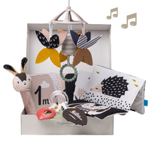 Load image into Gallery viewer, Taf Toys Newborn Black & White Gift Kit 0M+