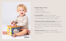 Load image into Gallery viewer, Taf Toys Play & Discover Cube 12M+