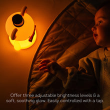 Load image into Gallery viewer, Taf Toys Night Light - Little Bear 0M+