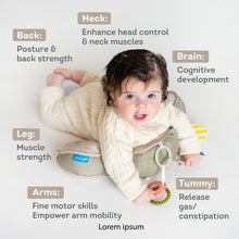 Load image into Gallery viewer, Taf Toys Tummy Time Pillow - Panda 0M+