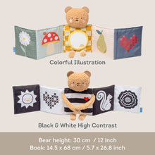 Load image into Gallery viewer, Taf Toys Snuggle Bear Book