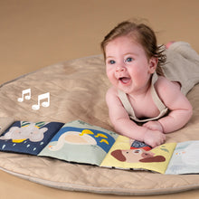 Load image into Gallery viewer, Taf Toys Soothing Sounds Book