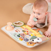 Load image into Gallery viewer, Taf Toys Peek, Pop & Play Station 6M+