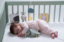 Load image into Gallery viewer, Taf Toys Bedtime Kit