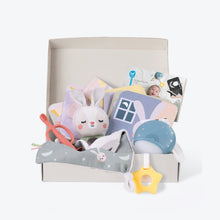 Load image into Gallery viewer, Taf Toys Bedtime Kit
