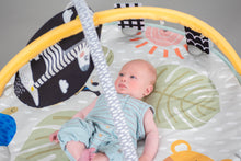 Load image into Gallery viewer, Taf Toys Savannah 360 Activity Gym 0m+