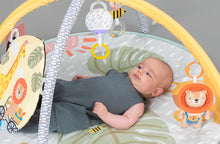 Load image into Gallery viewer, Taf Toys Savannah 360 Activity Gym 0m+