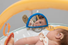 Load image into Gallery viewer, Taf Toys Savannah 360 Activity Gym 0m+