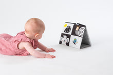 Load image into Gallery viewer, Taf Toys Tummy-time Mirror Book
