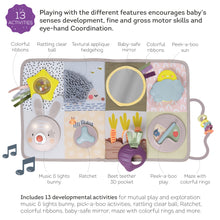 Load image into Gallery viewer, Taf Toys Developmental Activity Center 0M+