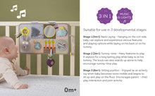 Load image into Gallery viewer, Taf Toys Developmental Activity Center 0M+
