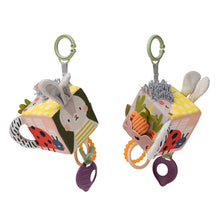 Load image into Gallery viewer, Taf Toys Urban Garden Discovery Cube