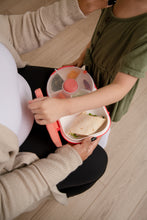 Load image into Gallery viewer, GoBe Lunch Box - Watermelon Pink