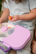 Load image into Gallery viewer, GoBe Lunch Box - Grape Purple