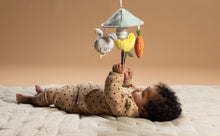 Load image into Gallery viewer, Taf Toys Garden Pram Mobile