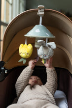 Load image into Gallery viewer, Taf Toys Garden Pram Mobile