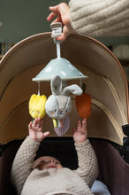 Load image into Gallery viewer, Taf Toys Garden Pram Mobile