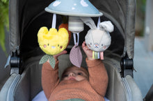 Load image into Gallery viewer, Taf Toys Garden Pram Mobile