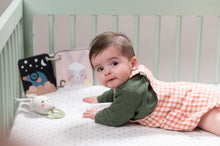Load image into Gallery viewer, Taf Toys Bedtime Kit