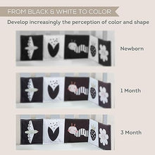 Load image into Gallery viewer, Taf Toys Bunny Pram Book - *Poly bag packaging only