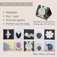 Load image into Gallery viewer, Taf Toys Bunny Pram Book - *Poly bag packaging only