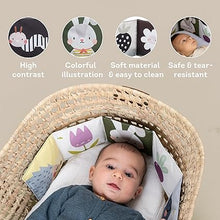 Load image into Gallery viewer, Taf Toys Bunny Pram Book - *Poly bag packaging only