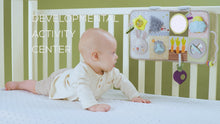Load and play video in Gallery viewer, Taf Toys Developmental Activity Center 0M+