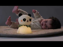 Load and play video in Gallery viewer, Taf Toys Night Light - Little Bear 0M+