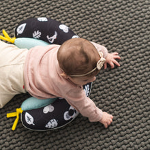 Load image into Gallery viewer, Taf Toys 2 in 1 Tummy Time Pillow
