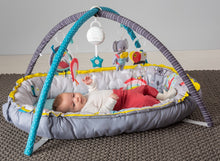 Load image into Gallery viewer, Taf Toys Koala Musical Newborn Cosy Gym