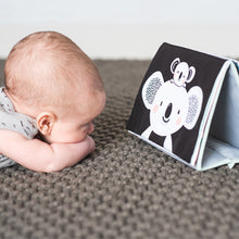 Load image into Gallery viewer, Taf Toys Tummy-Time Book