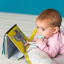 Load image into Gallery viewer, Taf Toys Tummy-Time Book