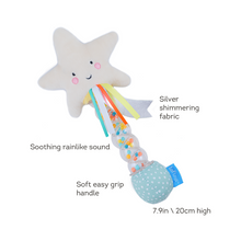Load image into Gallery viewer, Taf Toys Star Rain stick Rattle