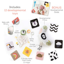 Load image into Gallery viewer, Taf Toys Newborn Kit 0m+