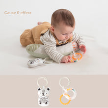 Load image into Gallery viewer, Taf Toys Newborn Kit 0m+