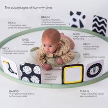 Load image into Gallery viewer, Taf Toys Tummy time trainer 0m+
