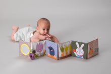 Load image into Gallery viewer, Taf Toys Urban Garden Pram Book
