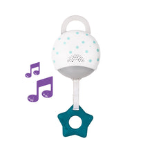 Load image into Gallery viewer, Taf Toys Koala Musical Newborn Cosy Gym
