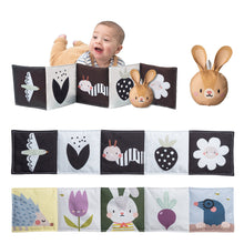 Load image into Gallery viewer, Taf Toys Bunny Pram Book w. Plush Bunny Toy
