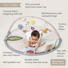 Load image into Gallery viewer, Tummy Time Activity gym Gym #13395 0M+
