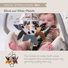 Load image into Gallery viewer, Taf Toys Newborn Black &amp; White Gift Kit 0M+
