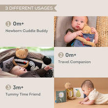 Load image into Gallery viewer, Taf Toys Snuggle Bear Book
