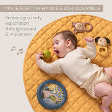 Load image into Gallery viewer, Taf Toys Musical Discovery Set

