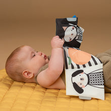 Load image into Gallery viewer, Taf Toys Tummy Time Activity Kit | Sensory Play &amp; Development Set for Babies
