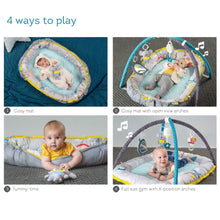 Load image into Gallery viewer, Taf Toys Koala Musical Newborn Cosy Gym
