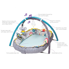 Load image into Gallery viewer, Taf Toys Koala Musical Newborn Cosy Gym
