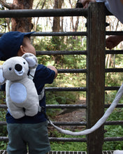 Load image into Gallery viewer, 2 in 1 Harness Buddy Koala - Limited Edition.

